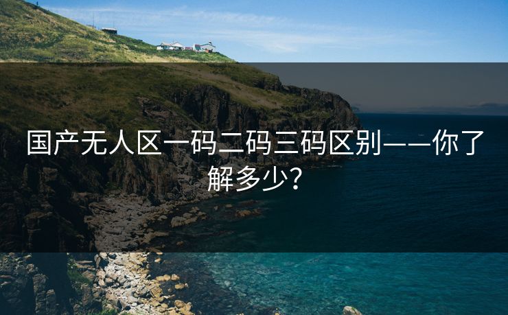 国产无人区一码二码三码区别——你了解多少？
